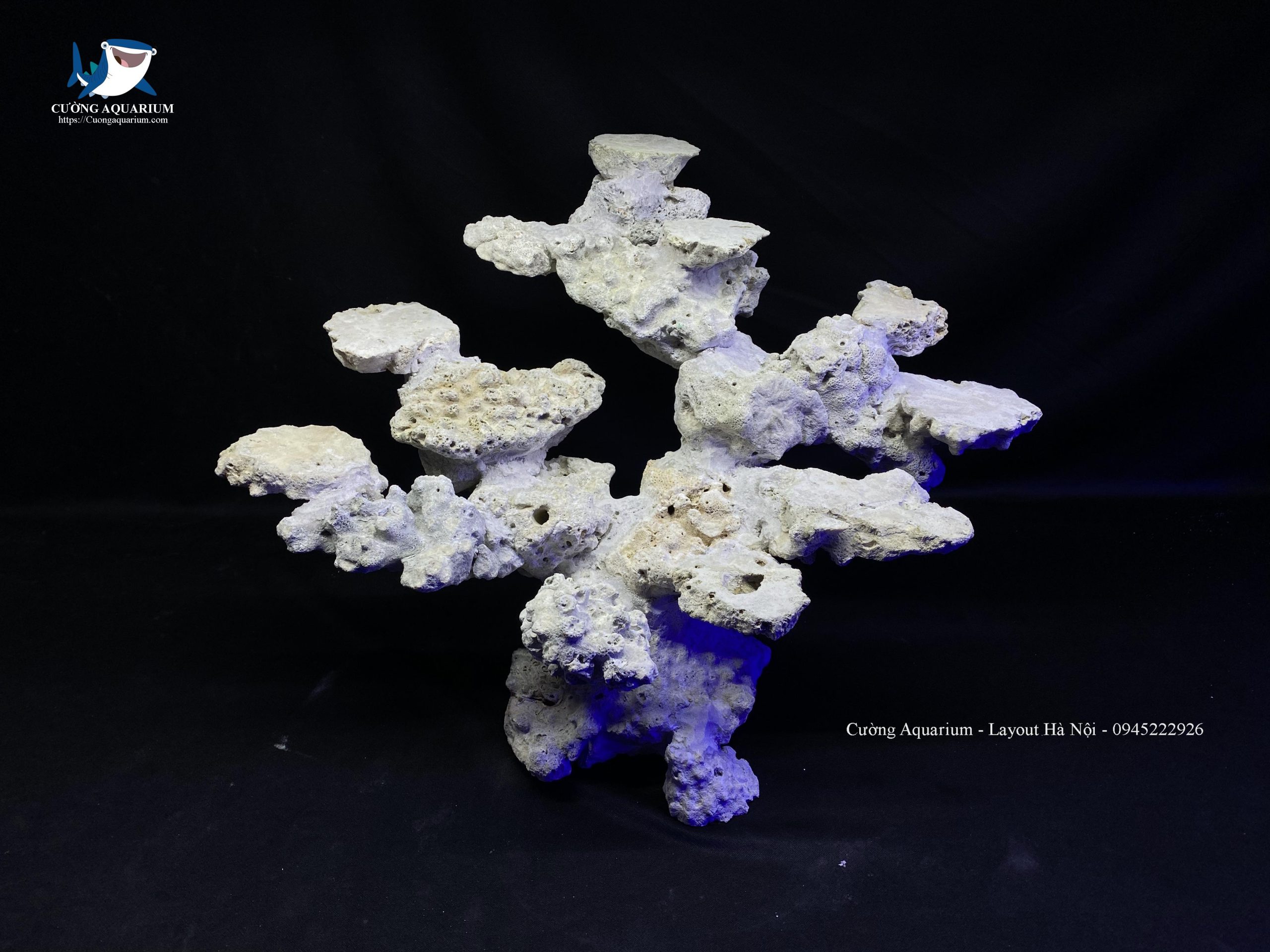 layout-ca-canh-bien-cuongaquarium (184)