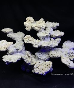 MÃ 91 - LAYOUT CÁ BIỂN BỂ 50 CM - ROYALAQUA