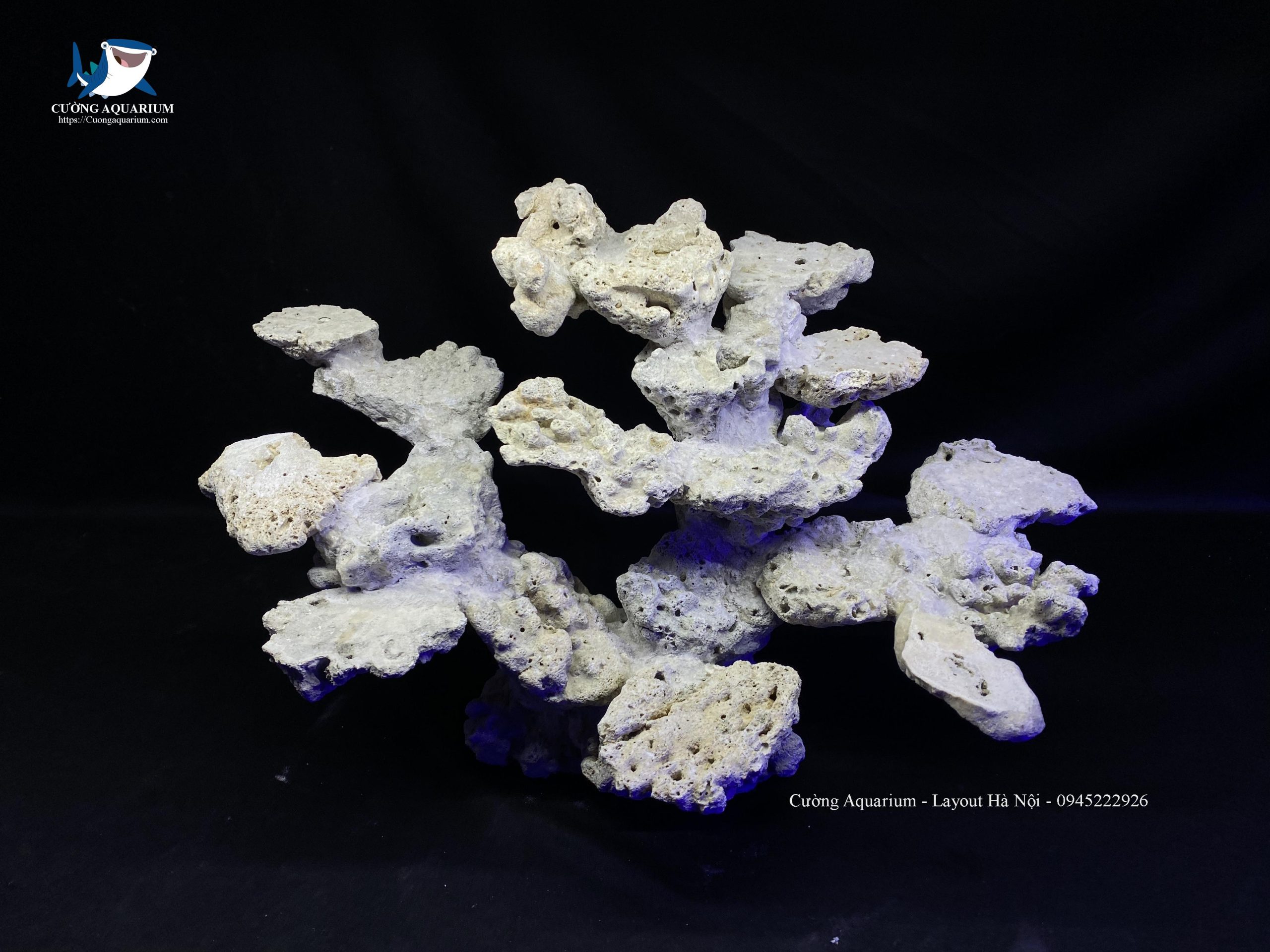 layout-ca-canh-bien-cuongaquarium (192)