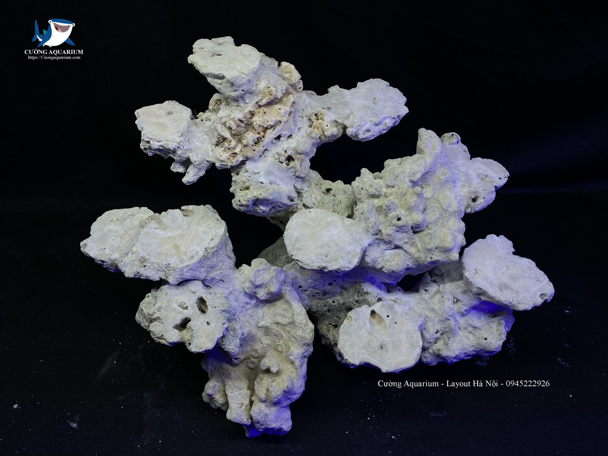 layout-ca-canh-bien-cuongaquarium (196)