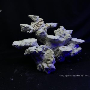 MÃ 93 - LAYOUT CÁ BIỂN BỂ 40CM - ROYALAQUA