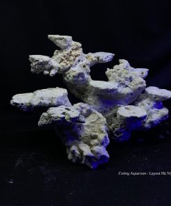 MÃ 93 - LAYOUT CÁ BIỂN BỂ 40CM - ROYALAQUA