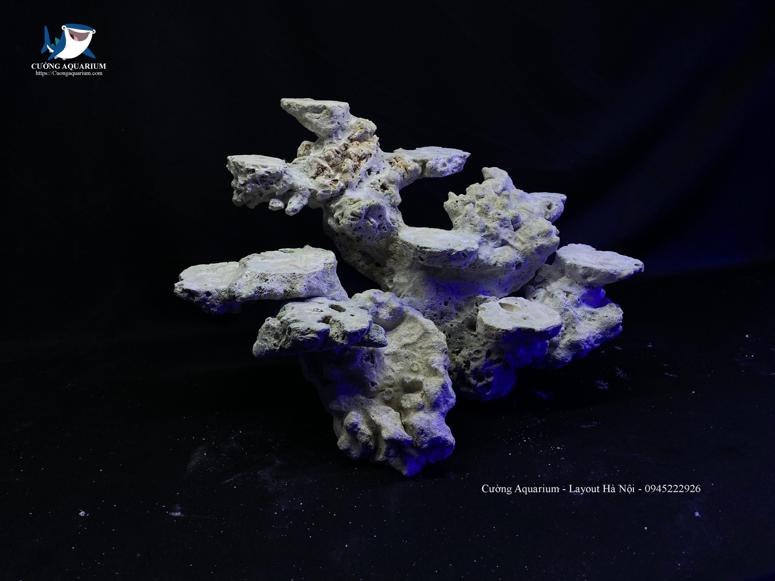 layout-ca-canh-bien-cuongaquarium (200)