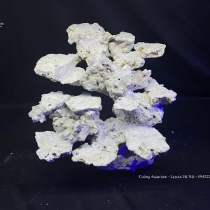 MÃ 94 - LAYOUT CÁ BIỂN BỂ 40CM - ROYALAQUA