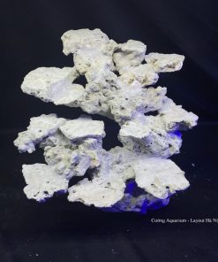 MÃ 94 - LAYOUT CÁ BIỂN BỂ 40CM - ROYALAQUA