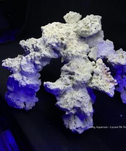 MÃ 95 - LAYOUT CÁ CẢNH BIỂN BỂ CUBIC 60CM - ROYALAQUA