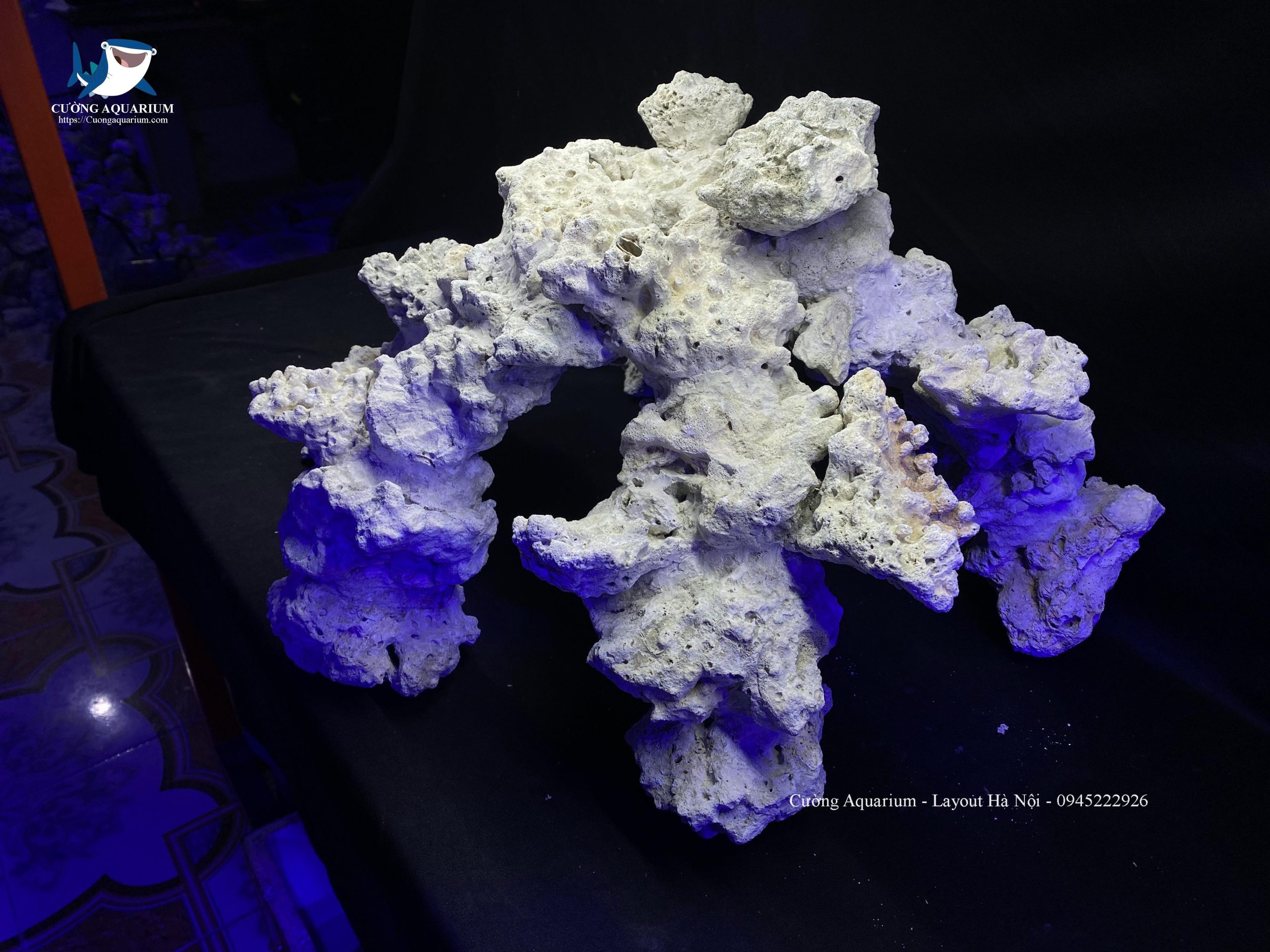 layout-ca-canh-bien-cuongaquarium (210)