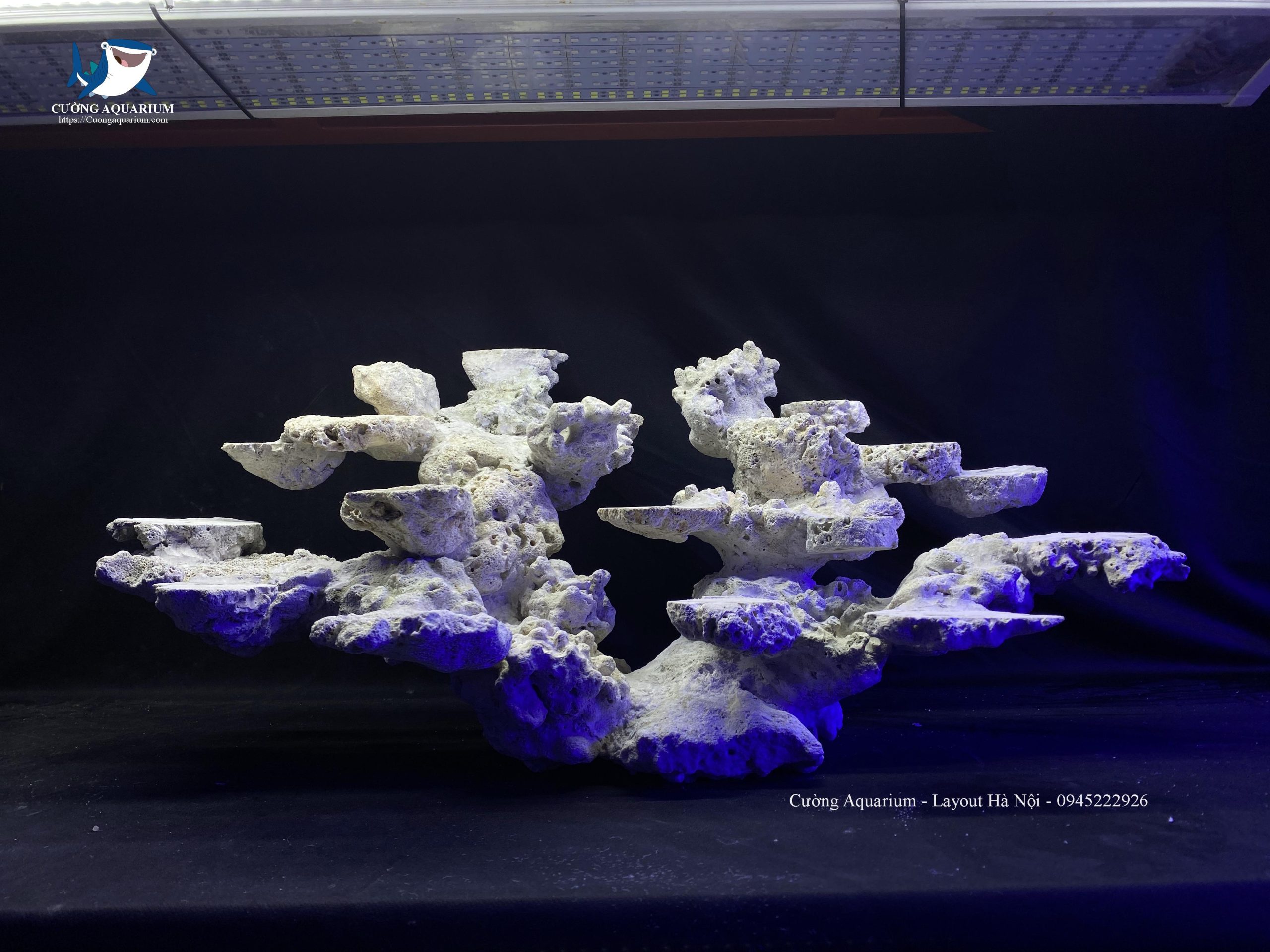 layout-ca-canh-bien-cuongaquarium (213)