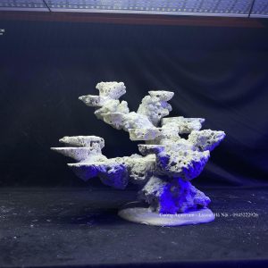 MÃ 99 - LAYOUT CÁ CẢNH BIỂN BỂ 45CM - ROYALAQUA