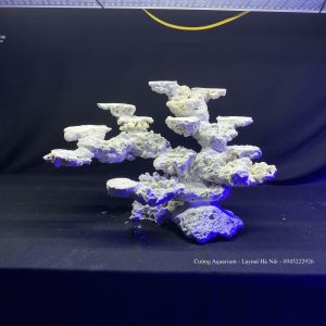 MÃ 100 - LAYOUT CÁ BIỂN BỂ 50CM - ROYALAQUA