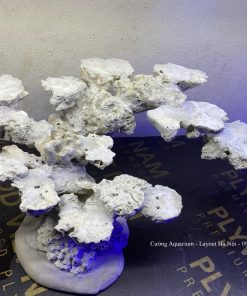 MÃ 102 - LAYOUT CÁ BIỂN BỂ 60CM - ROYALAQUA