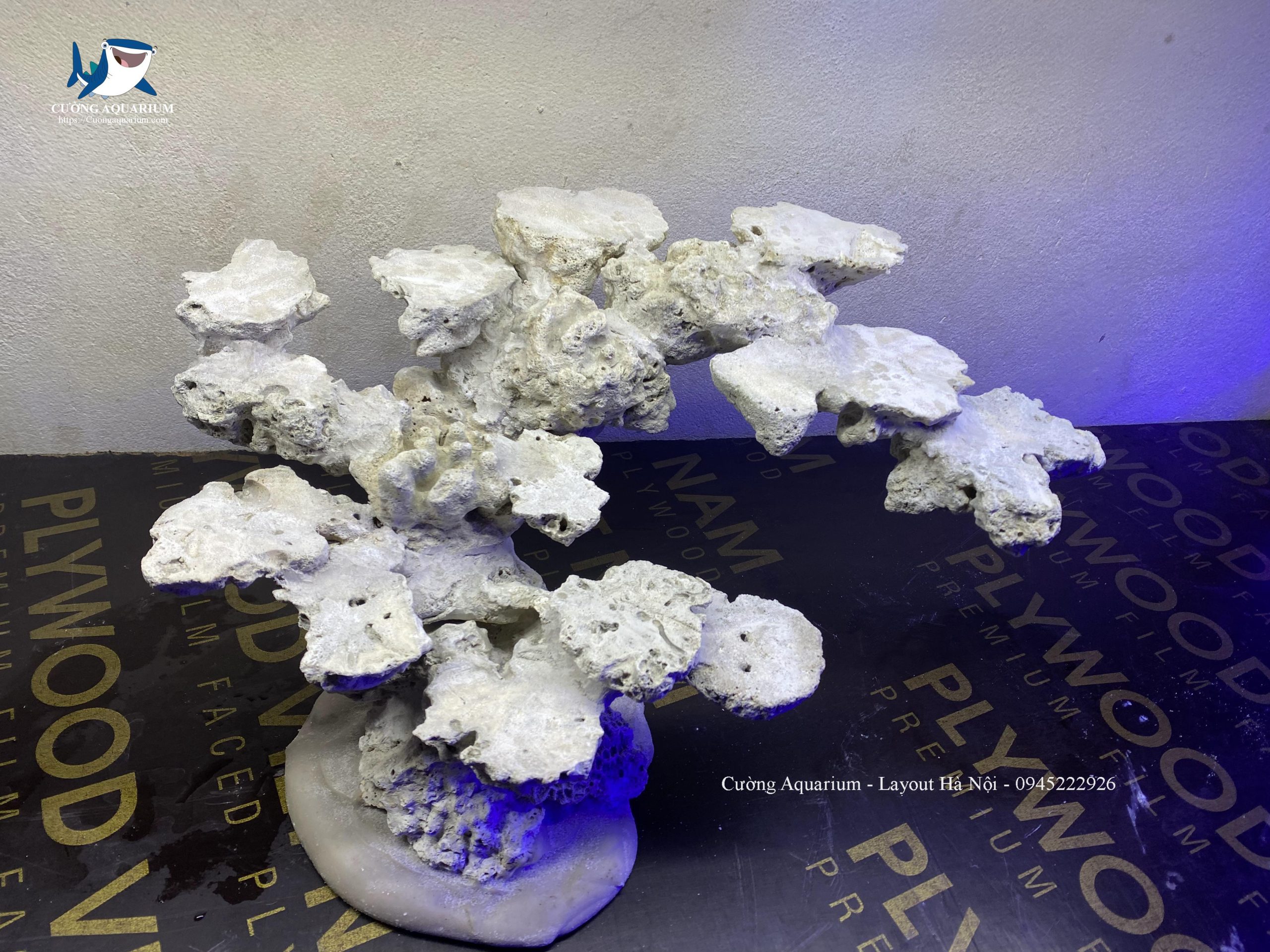 layout-ca-canh-bien-cuongaquarium (244)