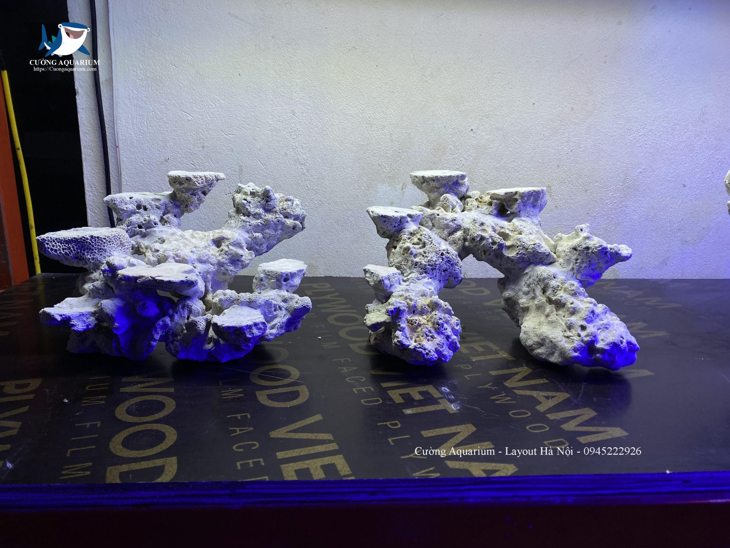 layout-ca-canh-bien-cuongaquarium (248)