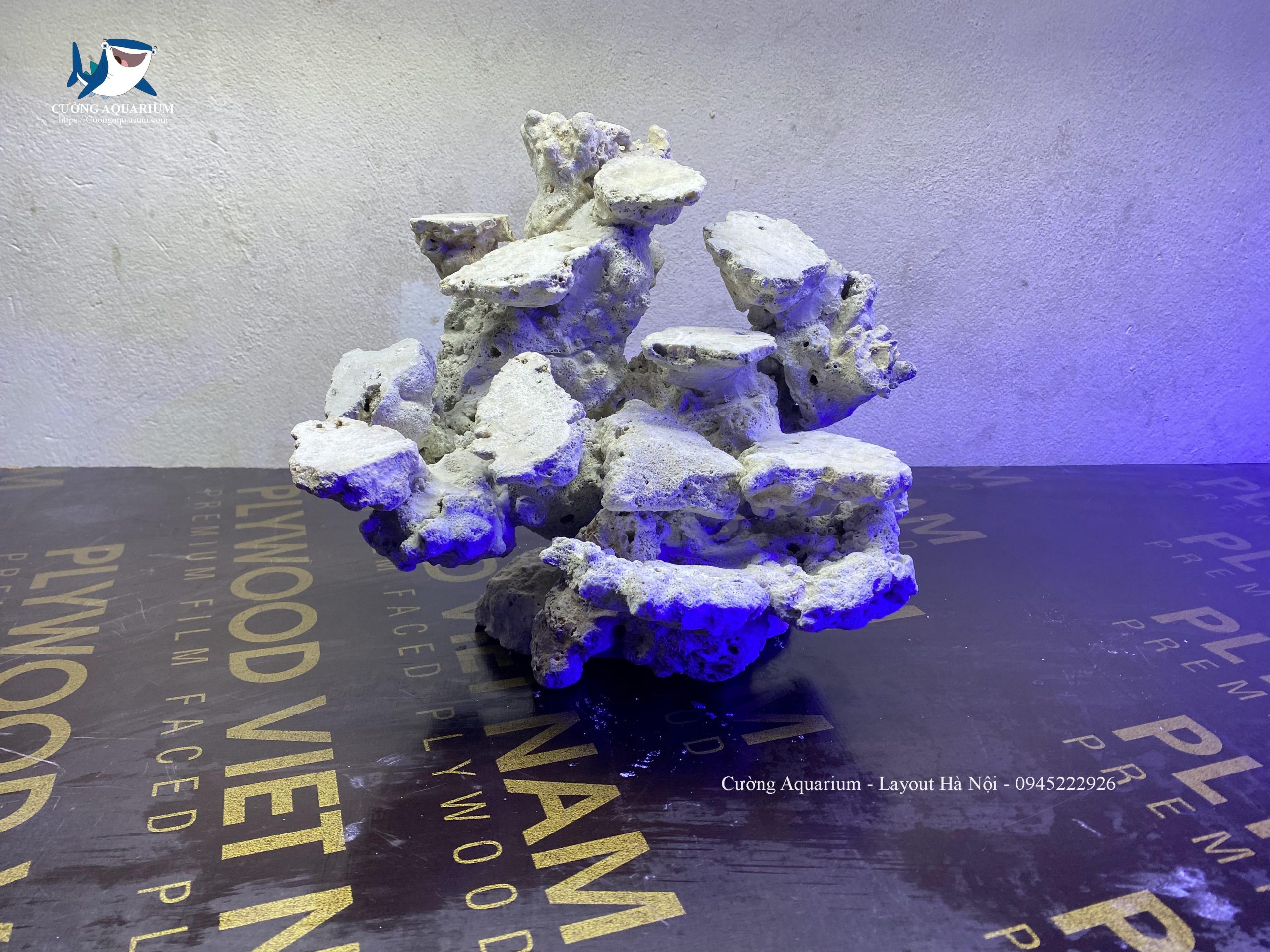 layout-ca-canh-bien-cuongaquarium (258)