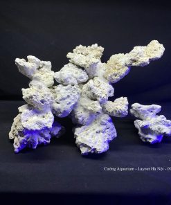 MÃ 106 - LAYOUT CÁ BIỂN BỂ 50CM - ROYALAQUA