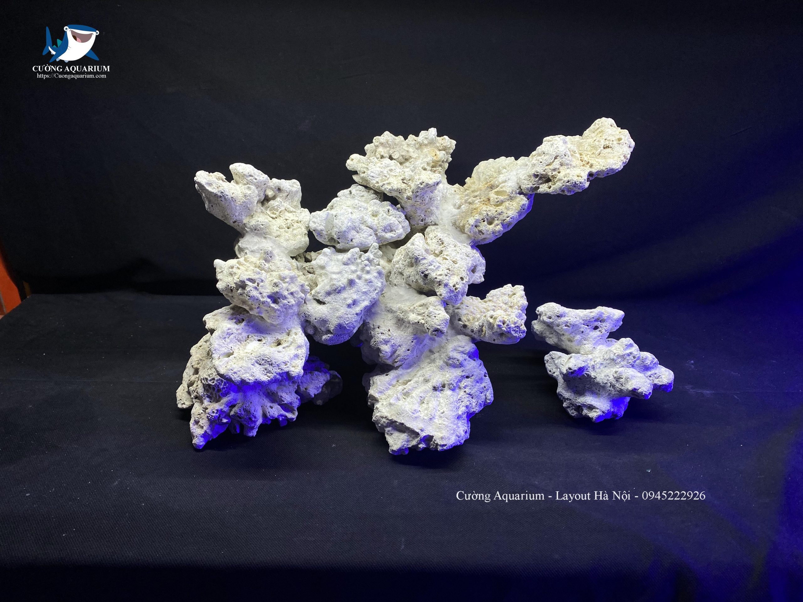 layout-ca-canh-bien-cuongaquarium (263)