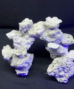 MÃ 107 - LAYOUT CÁ CẢNH BIỂN BỂ 40CM - ROYALAQUA