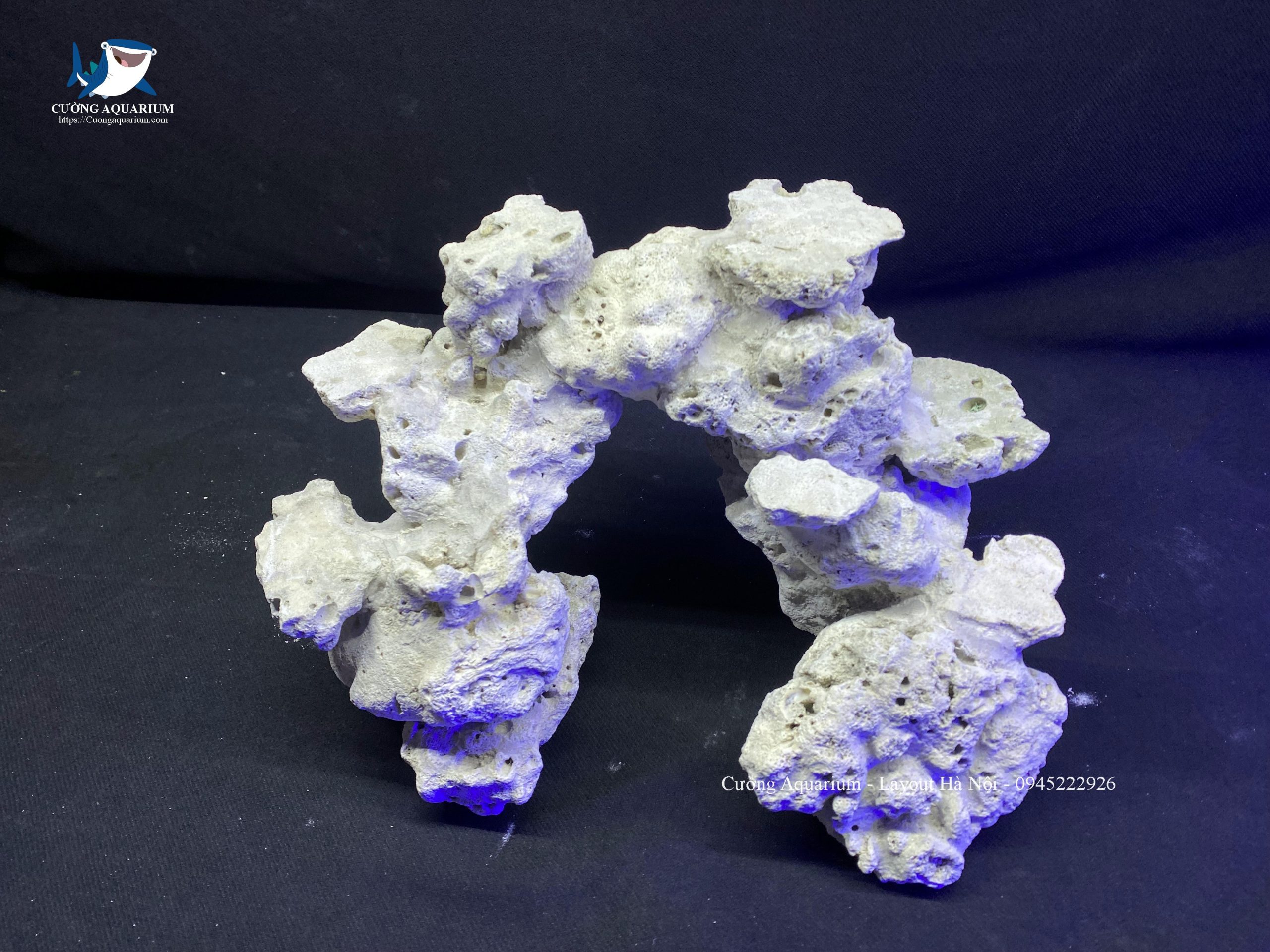 layout-ca-canh-bien-cuongaquarium (265)