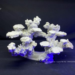 MÃ 108 - LAYOUT CÁ BIỂN BỂ 50CM - ROYALAQUA