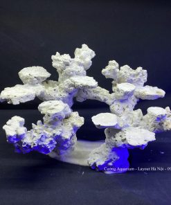 MÃ 108 - LAYOUT CÁ BIỂN BỂ 50CM - ROYALAQUA