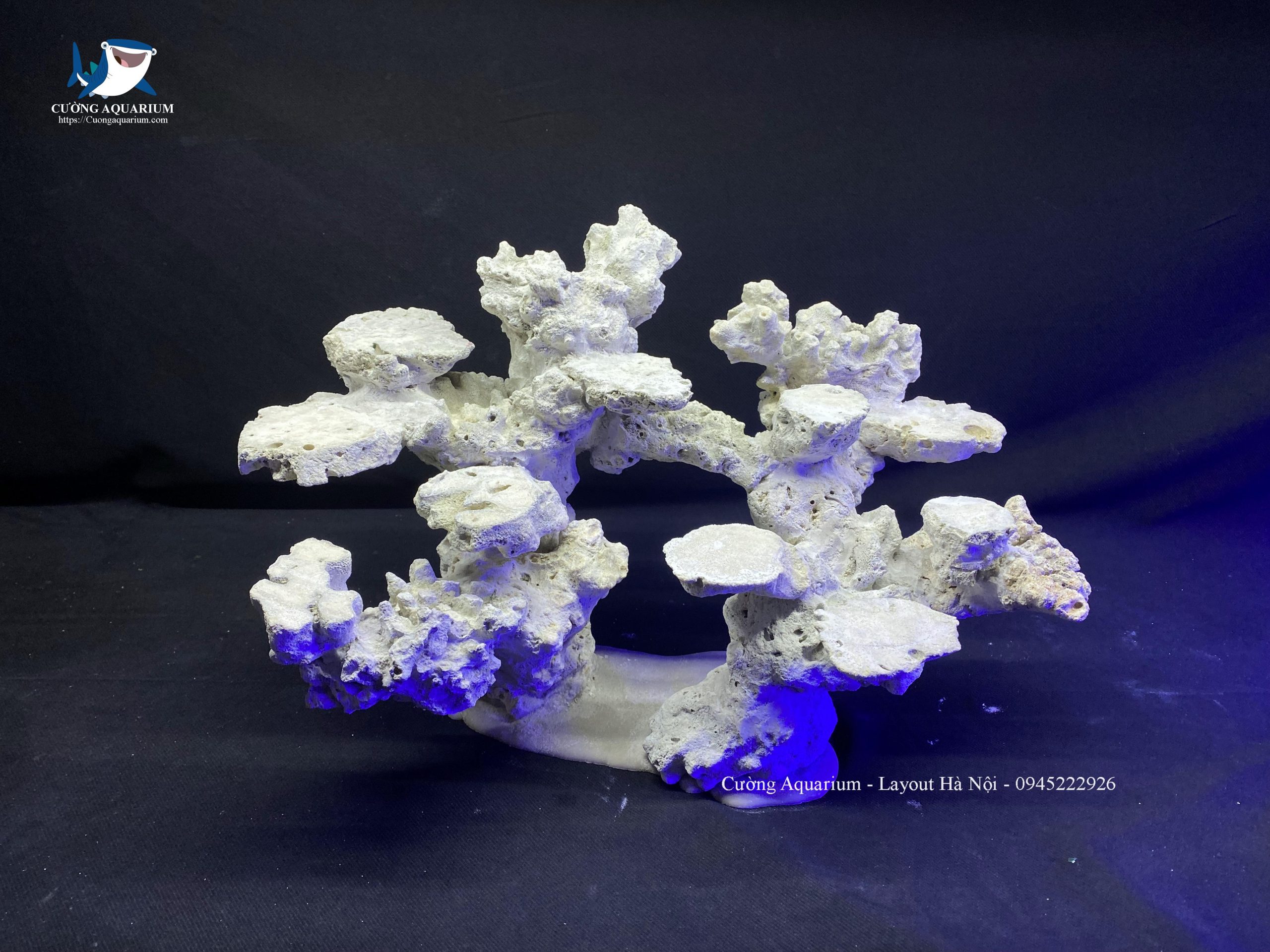 layout-ca-canh-bien-cuongaquarium (267)