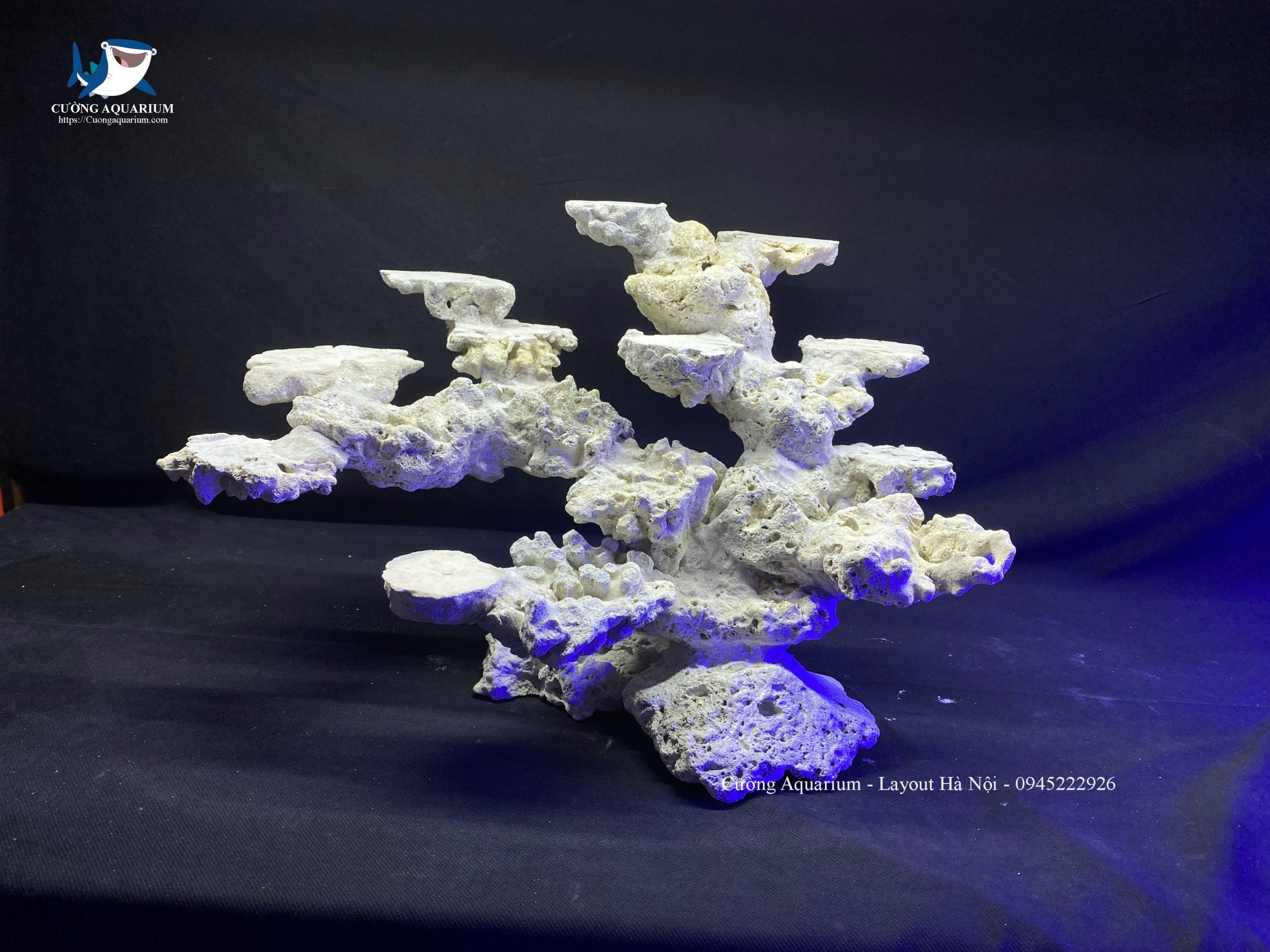 layout-ca-canh-bien-cuongaquarium (268)