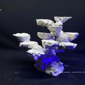 MÃ 112 - LAYOUT CÁ BIỂN BỂ 40CM - ROYALAQUA