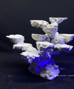 MÃ 112 - LAYOUT CÁ BIỂN BỂ 40CM - ROYALAQUA