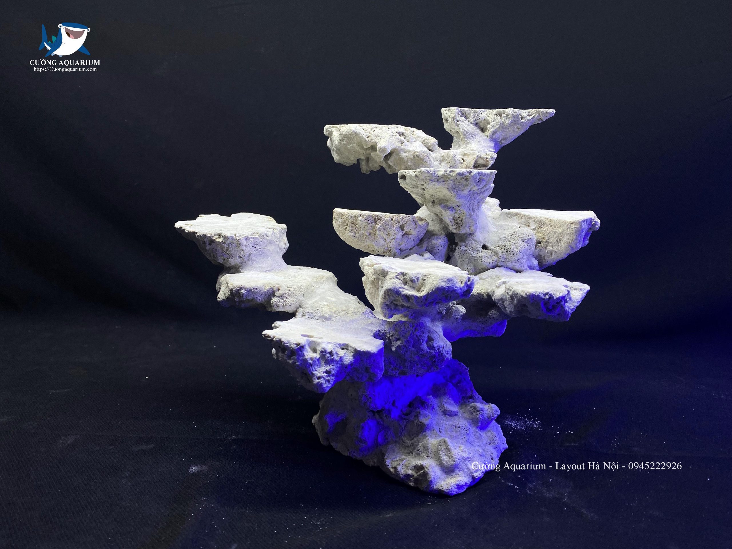 layout-ca-canh-bien-cuongaquarium (275)