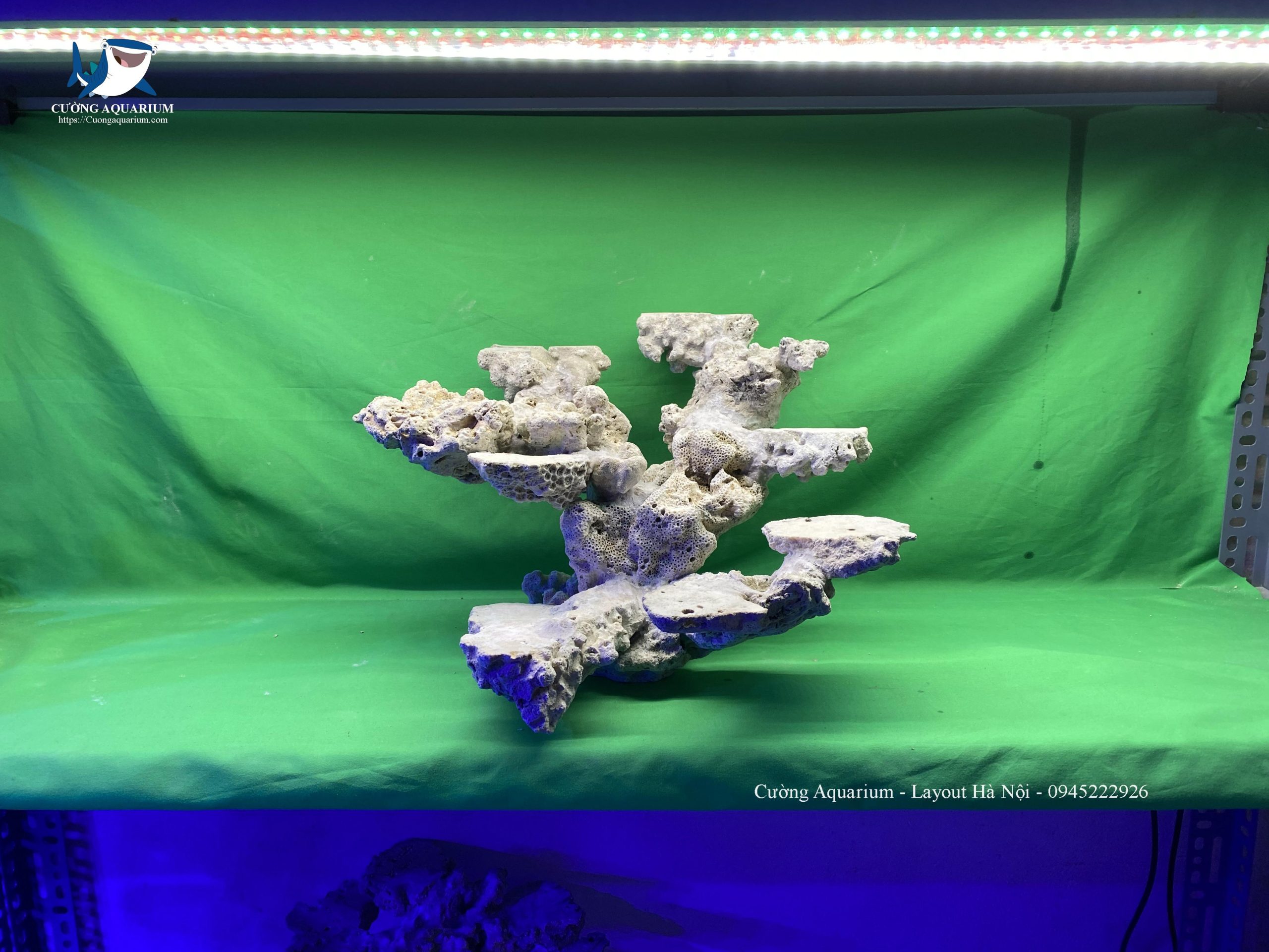 layout-ca-canh-bien-cuongaquarium (28)