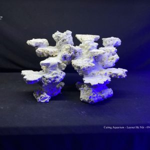 MÃ 114 - LAYOUT CÁ CẢNH BIỂN BỂ 40CM - ROYALAQUA