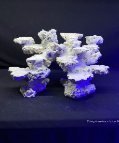 MÃ 114 - LAYOUT CÁ CẢNH BIỂN BỂ 40CM - ROYALAQUA