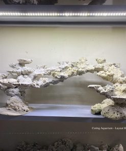 MÃ 117 - LAYOUT CÁ BIỂN BỂ 150CM - ROYALAQUA