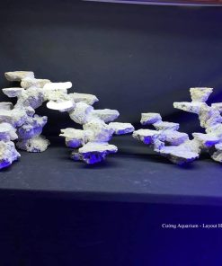 MÃ 120 - LAYOUT CÁ BIỂN BỂ 90CM - ROYALAQUA