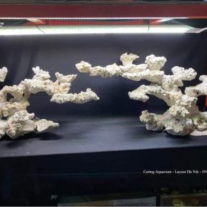 MÃ 121 - LAYOUT CÁ BIỂN BỂ 170CM - ROYALAQUA