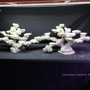 MÃ 122 - LAYOUT CÁ BIỂN BỂ 120x40x60CM - ROYALAQUA