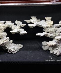 MÃ 123 - LAYOUT CÁ BIỂN BỂ 120CM - ROYALAQUA