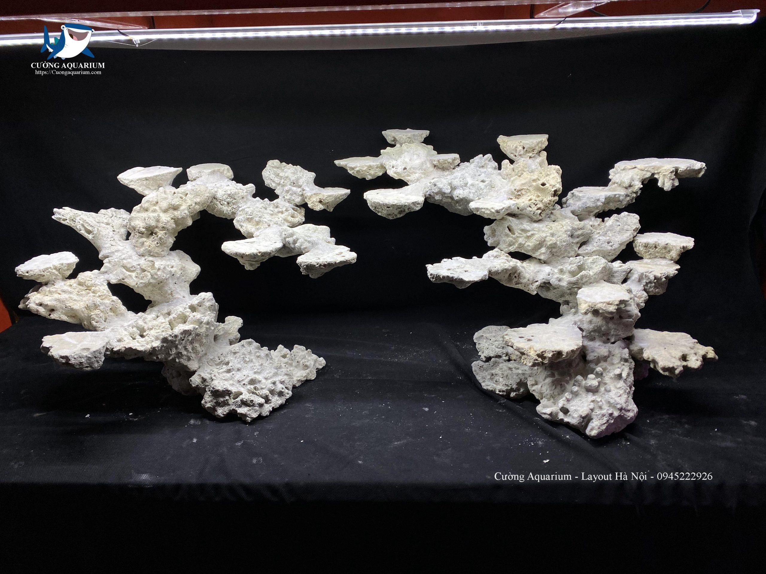 layout-ca-canh-bien-cuongaquarium (304)