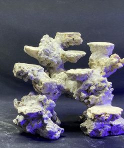 MÃ 125 - LAYOUT CÁ BIỂN BỂ 35CM - ROYALAQUA