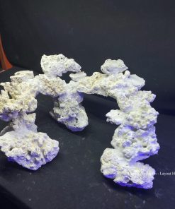 MÃ 126 - LAYOUT CÁ BIỂN BỂ SHALLOW 60CM - ROYALAQUA