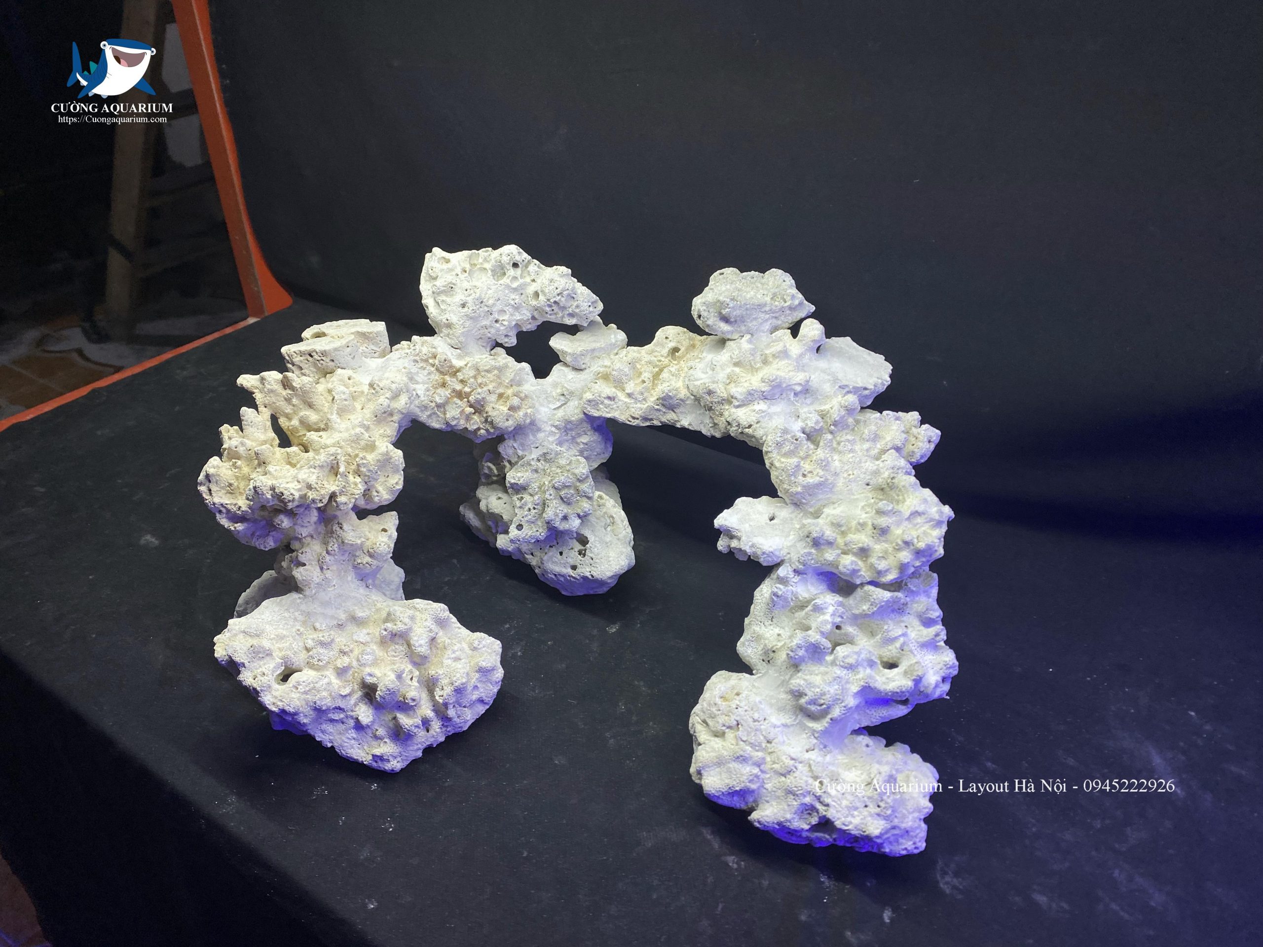 layout-ca-canh-bien-cuongaquarium (318)