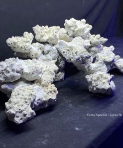 MÃ 128 - LAYOUT CÁ BIỂN BỂ SHALLOW 60CM - ROYALAQUA