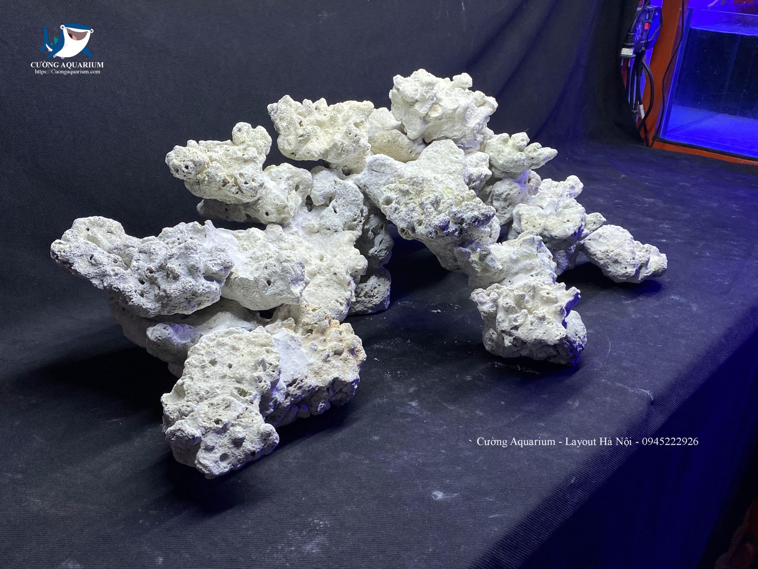 layout-ca-canh-bien-cuongaquarium (328)