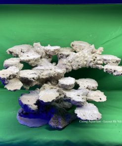 MÃ 65 - LAYOUT CÁ BIỂN BỂ 60CM - ROYALAQUA