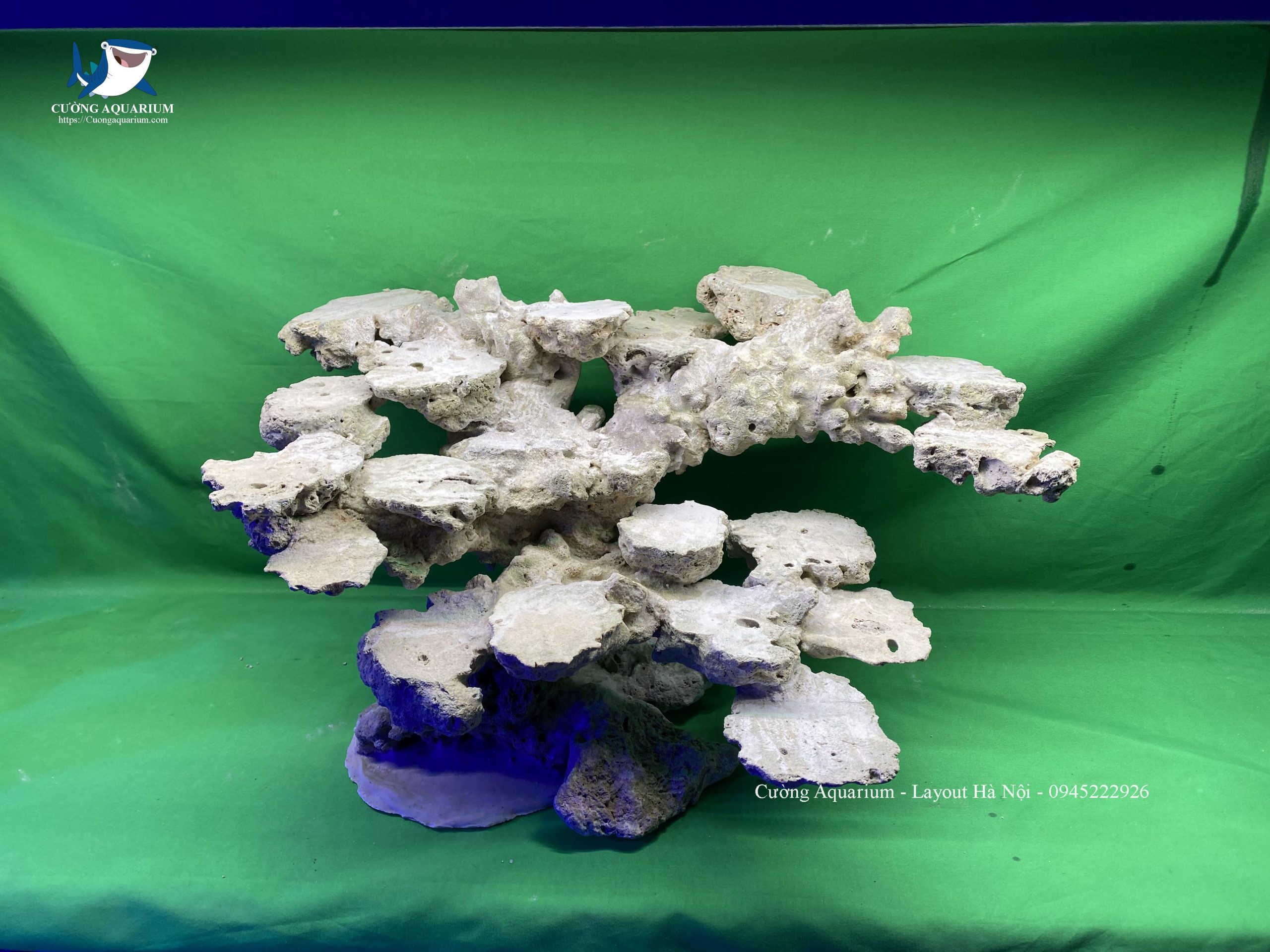 layout-ca-canh-bien-cuongaquarium (33)