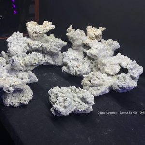 MÃ 129 - LAYOPUT CÁ BIỂN BỂ  SHALLOW CUBIC 70CM - ROYALAQUA