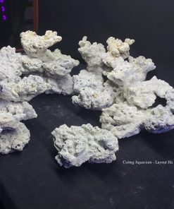 MÃ 129 - LAYOPUT CÁ BIỂN BỂ  SHALLOW CUBIC 70CM - ROYALAQUA