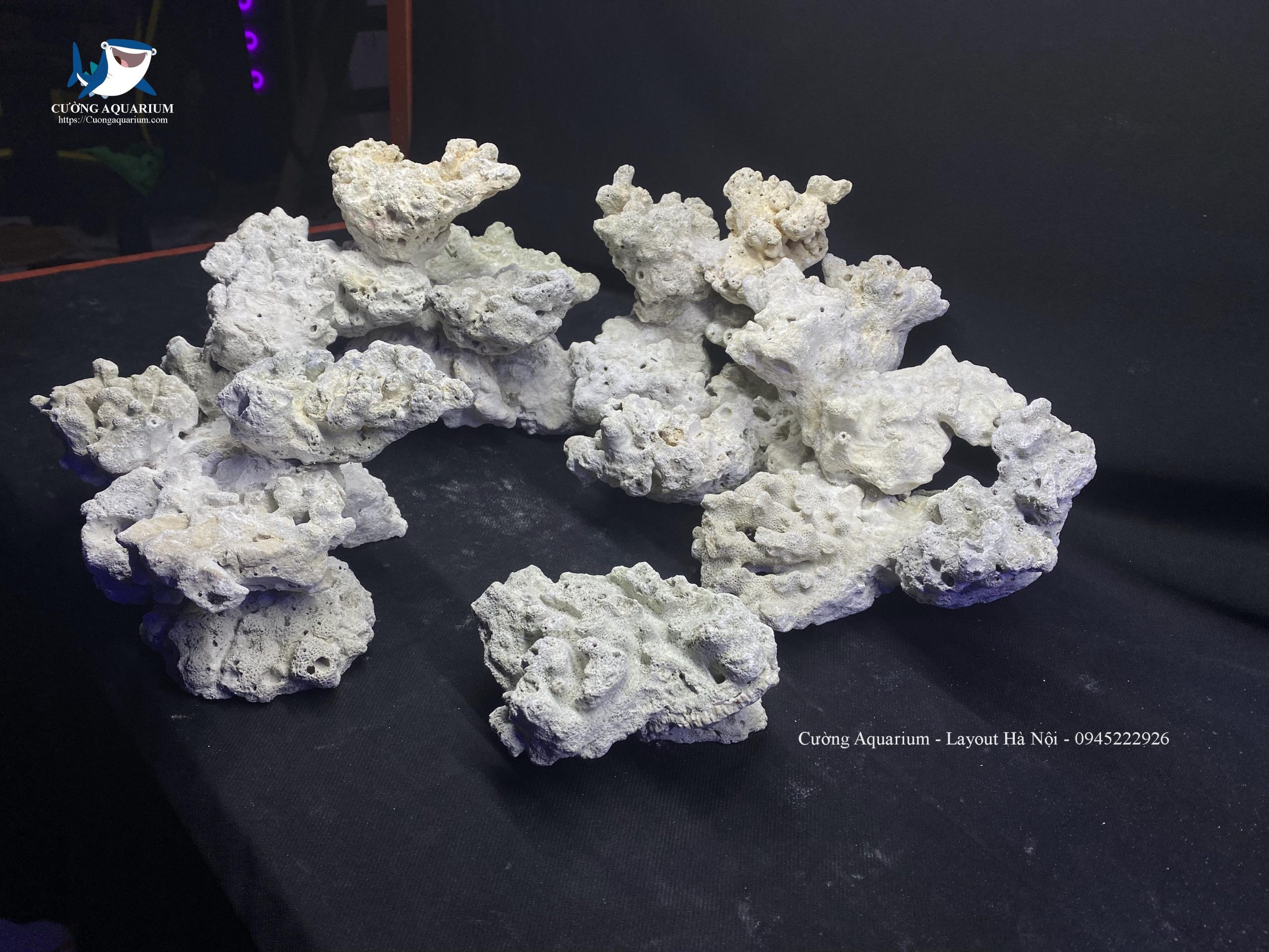 layout-ca-canh-bien-cuongaquarium (339)