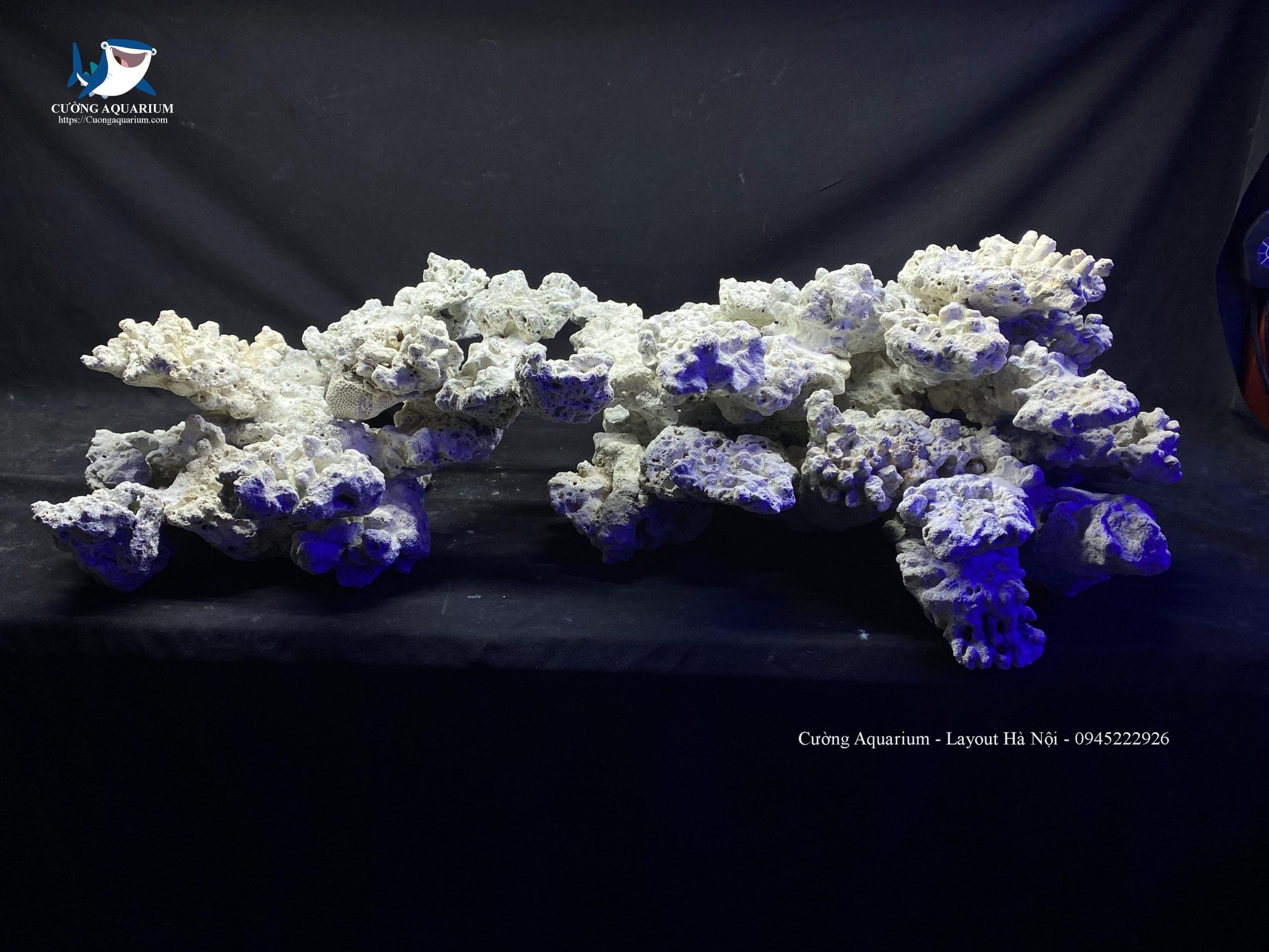 layout-ca-canh-bien-cuongaquarium (341)