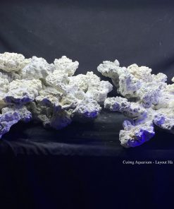 MÃ 132 - LAYOUT 3 MẶT CÁ BIỂN BỂ 120 -150CM - ROYALAQUA